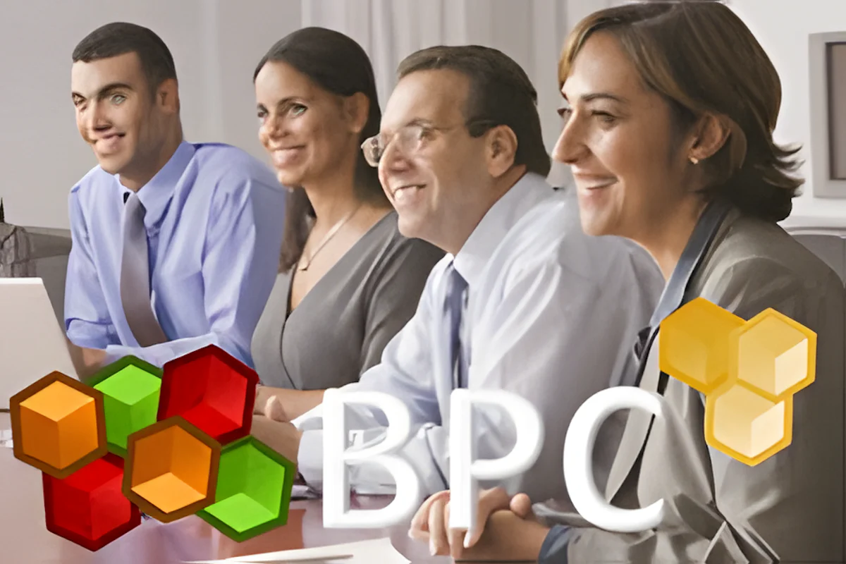 Course: SAP BPC Embedded Fundamentals for Planning Applications