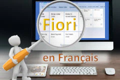Course: SAP Fiori: Le Guide pour End Users