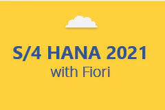 SAP S/4 HANA with FIORI Access